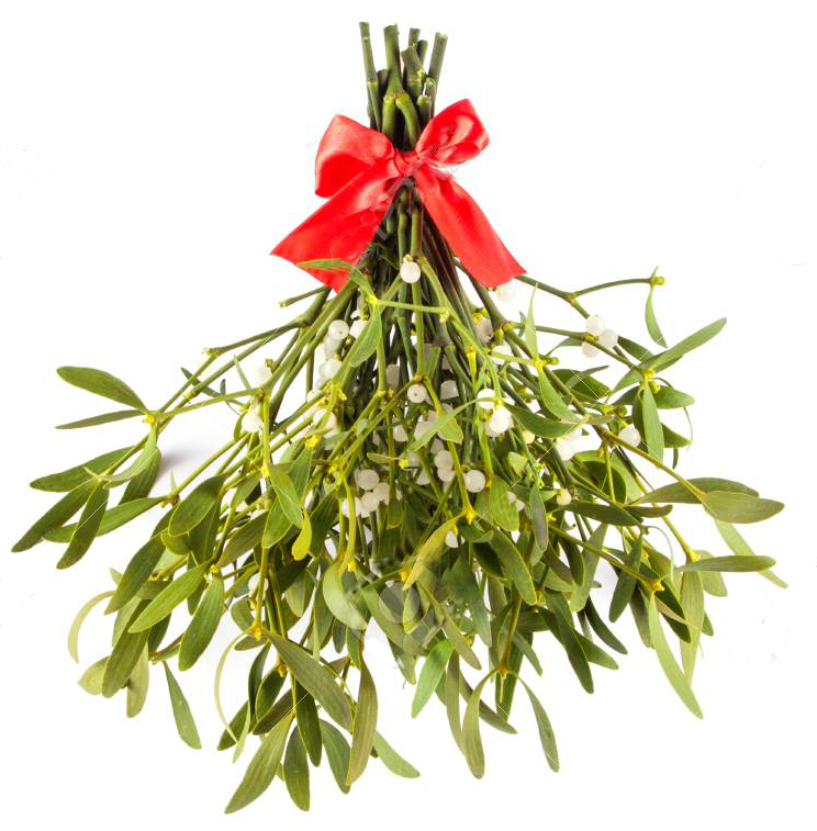 Calendrier 1er trimestre de la nouvelle année 2026