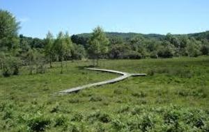 Randonnée Tourbière Canroute