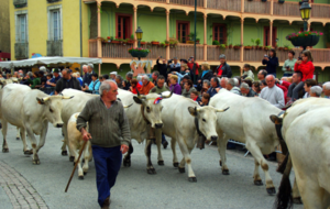 Dimanche 5 juin 2016 Transhumance à Bethmale Ariège