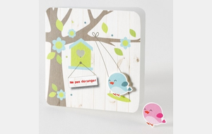 Les oisillons sont arrivés.....