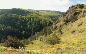 Combe du ruisseau de Taurou