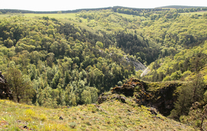 Combe du ruisseau de Taurou