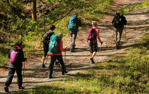 Dans la Combe du ruisseau de Taurou