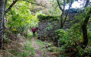 Ruines du hameau de Peyreyrol, 