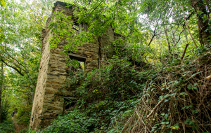 Ruines du hameau de Sabarthès