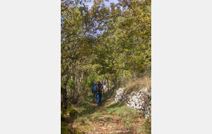 Montée sur le massif du Plantaurel