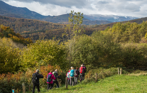Descente dans la combe du ruisseau de Caychalet