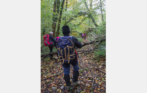 Combe du ruisseau de Caychalet 