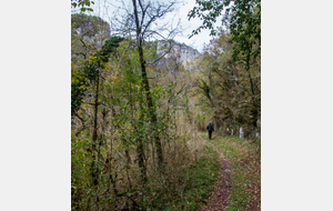Entrée dans les gorges
