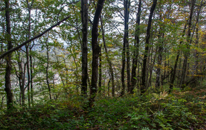 Surplomb de Lavelanet entre les arbres