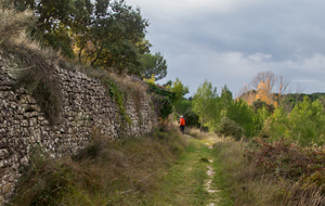 Beau mur de pierres sèches 