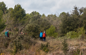 Pinède La Crémade 