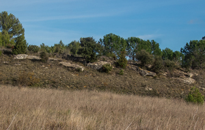 Belle garrigue