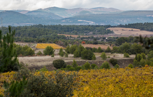  Vue sur la plaine de Carcassonne et Trèbes, la Montagne d’Alaric