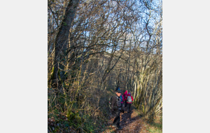  Traversée la bordure de la forêt domaniale de Sauveterre de Comminges