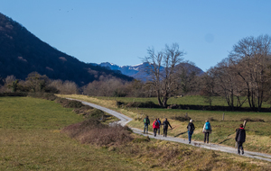 Vallon du ruisseau de Lôo