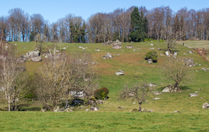 Paysage caractéristique du Sidobre