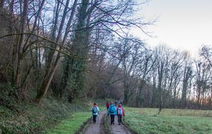 Sentier humide le long de l'Aveyron