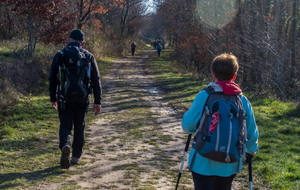 GR de pays Midi-Quercy