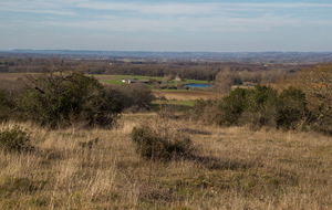 Vue du plateau du Pech (dolmens) en direction de Montricoux