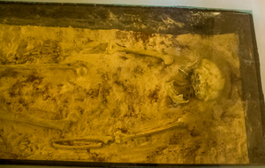 Château Jeune, salle de la préhistoire, Dame de Bruniquel.