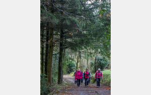 Lo Camin des Saints-Peyres aux Gorges de L'Arn