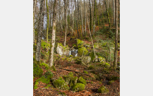 Petit affluent de l'Arn