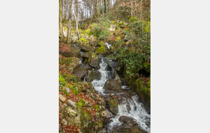 Petit affluent de l'Arn