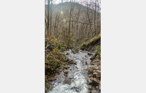 Petit affluent de l'Arn