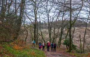 GR de pays Haute Vallée du Thoré.