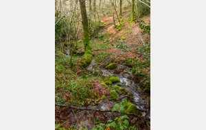 Petit affluent de l'Arn