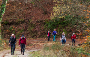 Bois "lou Bosc Crémat"