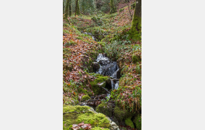 Petit affluent de l'Arn