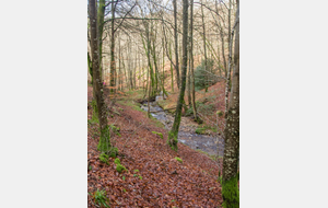 Petit affluent de l'Arn