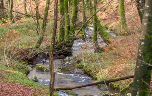 Petit affluent de l'Arn