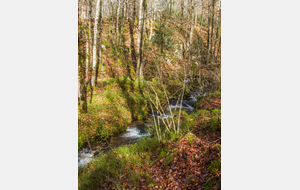 Petit affluent de l'Arn