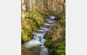 Petit affluent de l'Arn dans le bois "lou Bosc Crémat"