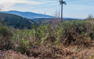  A proximité du  hameau " Le Mariech"