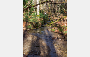  Dernier petit affluent de l'Arn dans le Bois de Moussu