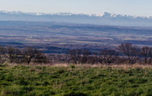 Très belle vue matinale sur le Lauragais et les Pyrénées