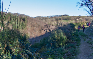 Vallon du ruisseau des Roques