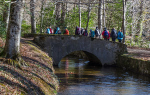 Nombreux petits ponts sur la rigole