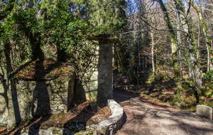   Ruine d'une ancienne maison de garde