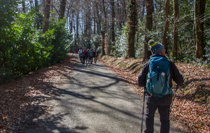 Retour sur Saissac par la D 408 