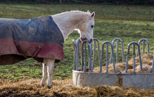 Traversée du lieu-dit  La Rivière (Équitation)