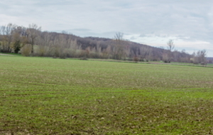 Campagne Haute-Garonnaise sur chemin gras!