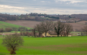 Les premiers coteaux de Gascogne