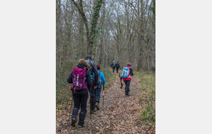 Montée et traversée du Bois du Burgaud (micro averse)