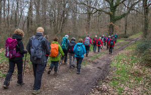 Traversée du Bois du Burgaud 