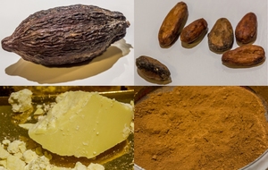  De la Cabosse du Cacaoyer, en passant par les fèves fermentées et torréfiées jusqu'au beurre de cacao et au grué de cacao (chocolat pur)